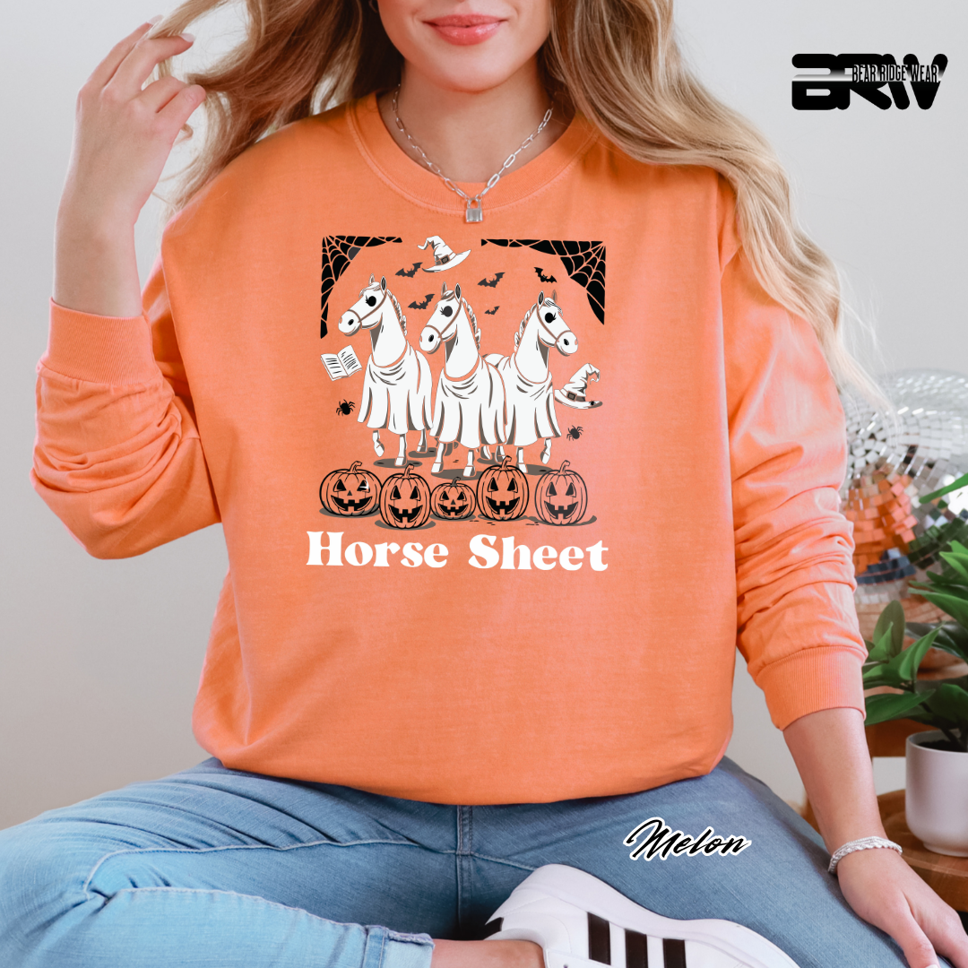 'Horse Sheet' Fall Long-Sleeve Tee