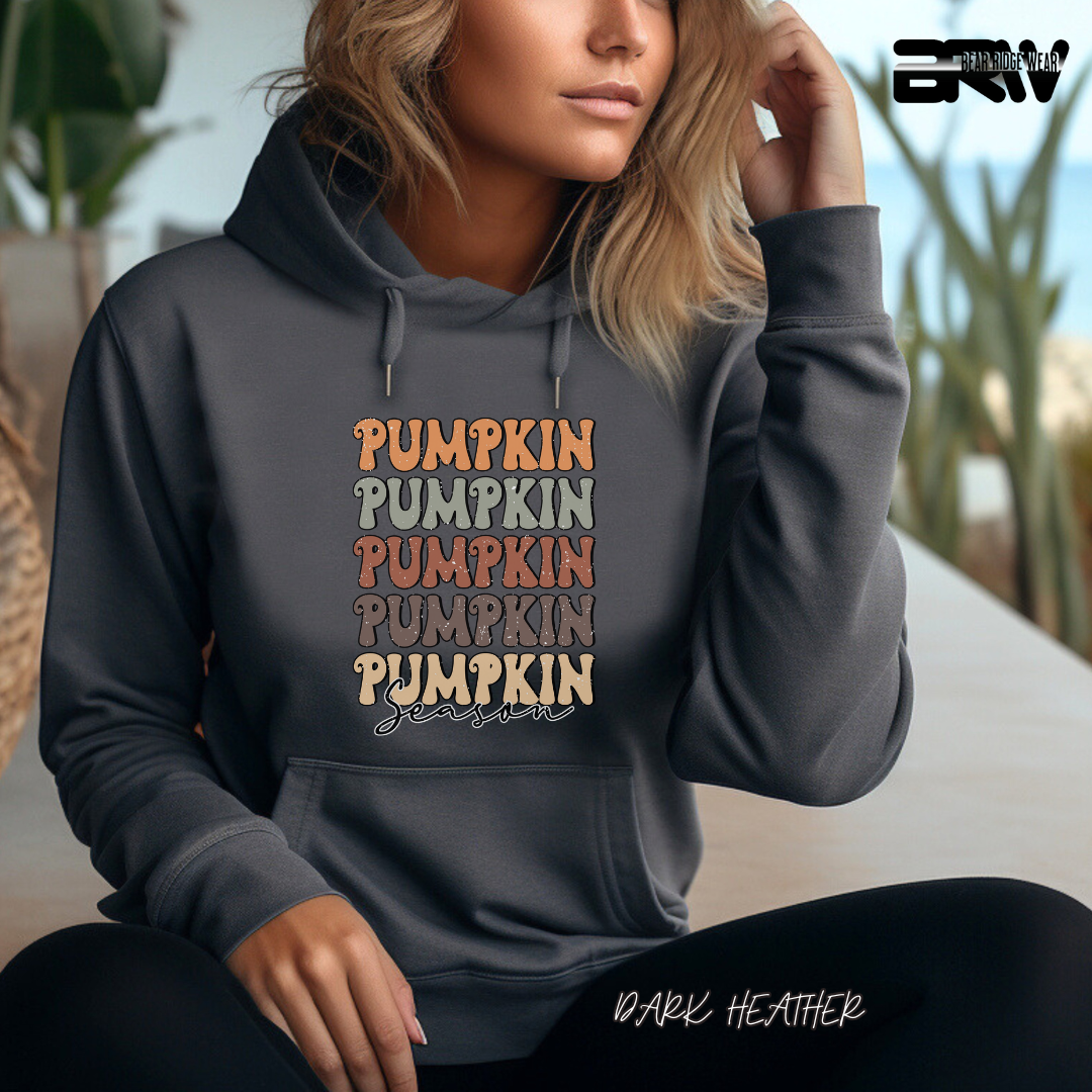 'Pumpkin Pumpkin Season' Fall Hoodie