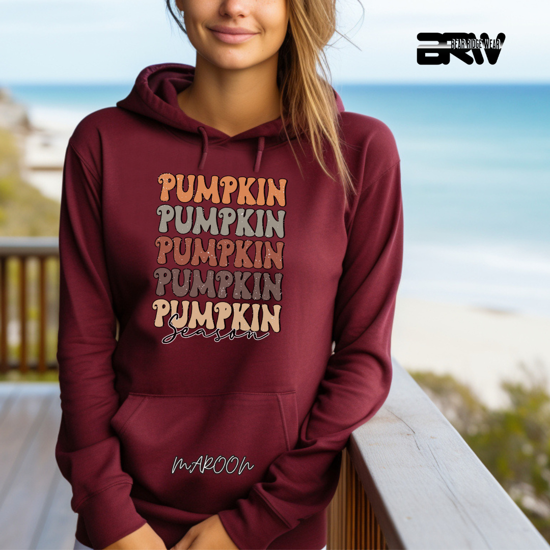 'Pumpkin Pumpkin Season' Fall Hoodie