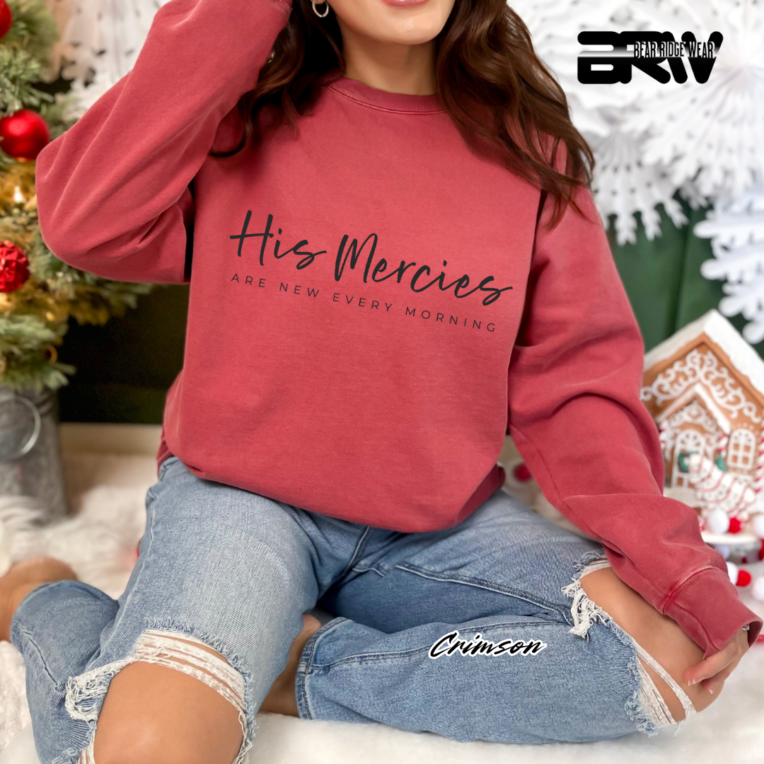 'His Mercies Are New Every Morning' Faith Long- Sleeve Tee