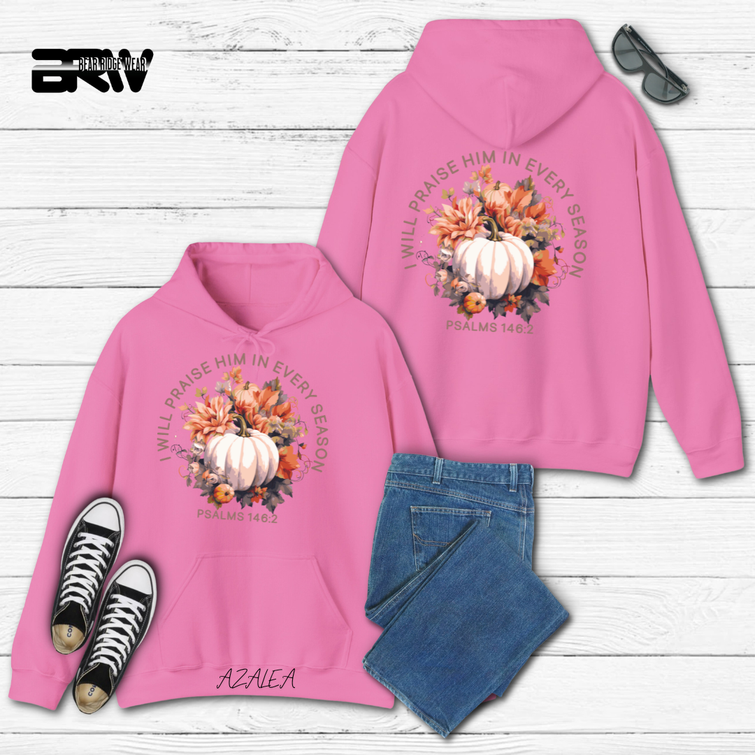 'I Will Praise Him' Fall Hoodie