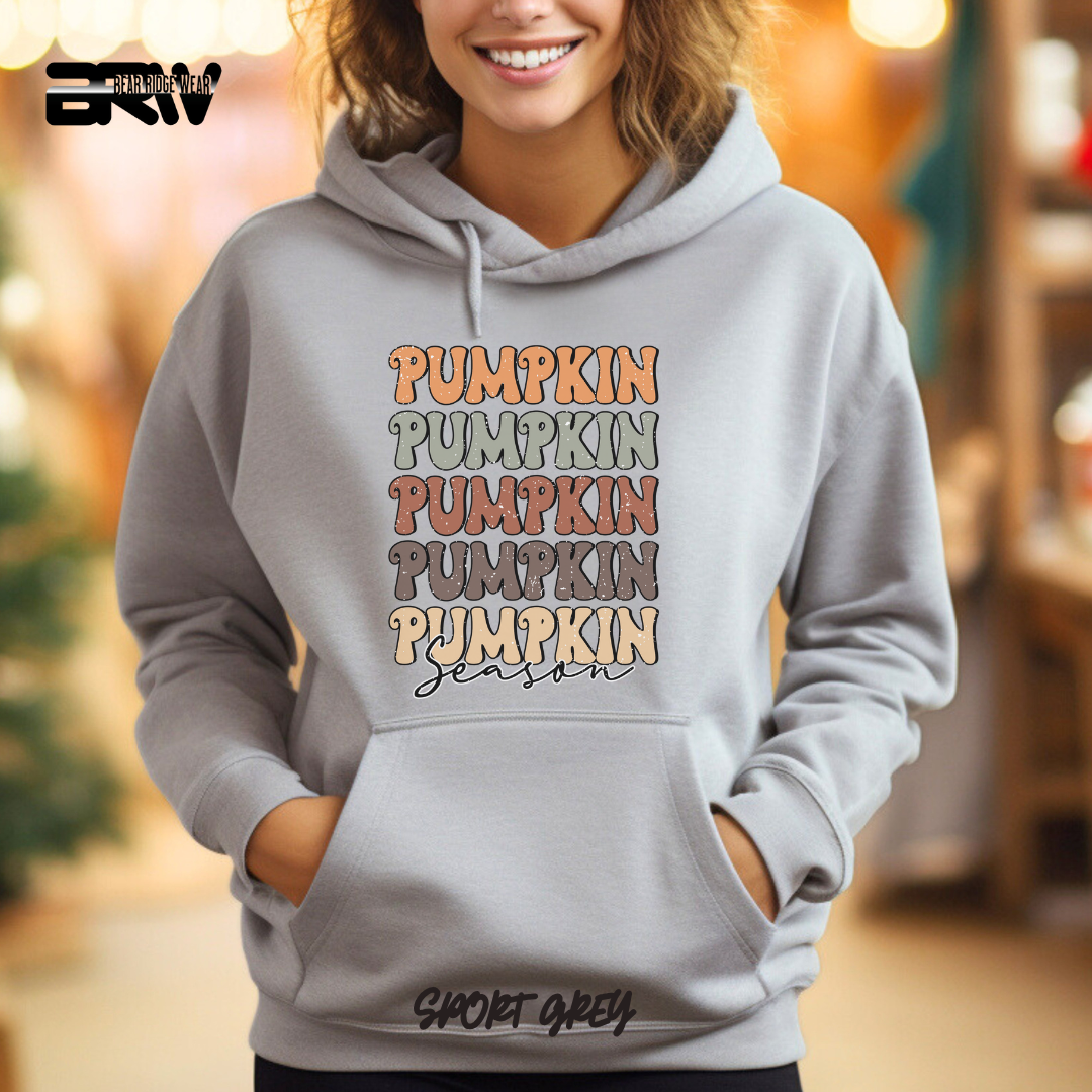 Person wearing a gray hoodie with 'Pumpkin Season' text, blurred indoor background