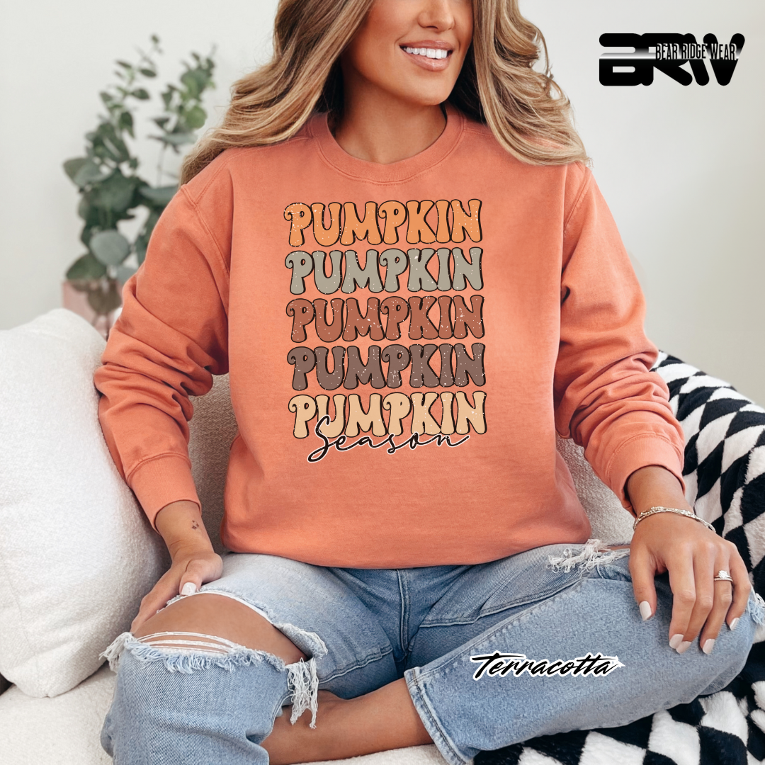 'Pumpkin Pumpkin Season' Fall Crewneck Sweatshirt