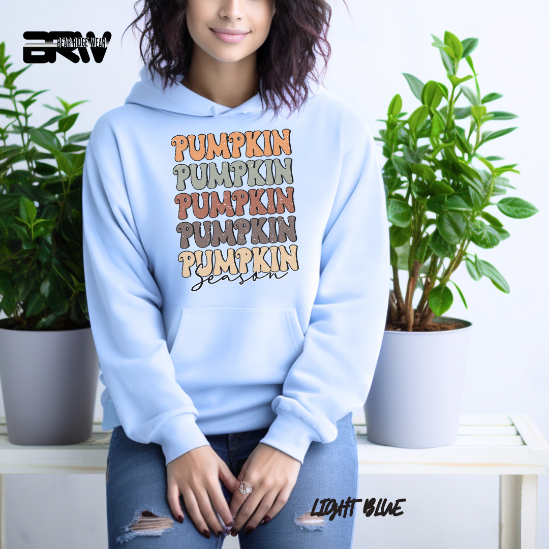 'Pumpkin Pumpkin Season' Fall Hoodie