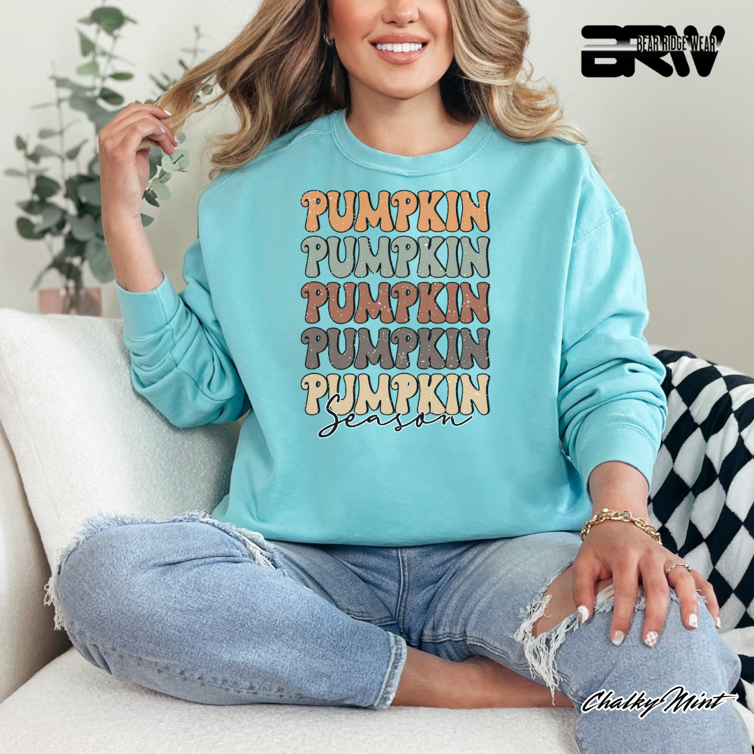 'Pumpkin Pumpkin Season' Fall Crewneck Sweatshirt