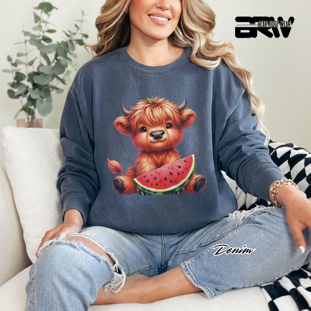 'Highland Cow-Watermelon' Summer Long Sleeve Tee