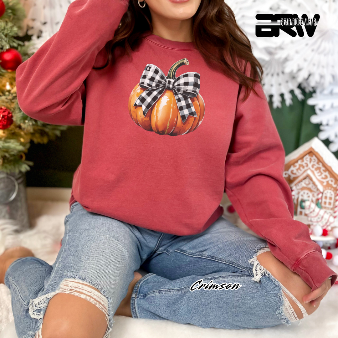 'Pumpkin With plaid Bow' Fall Long Sleeve Tee