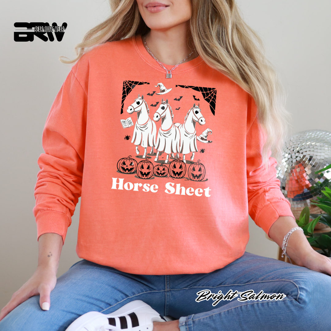 'Horse Sheet' Fall Long-Sleeve Tee