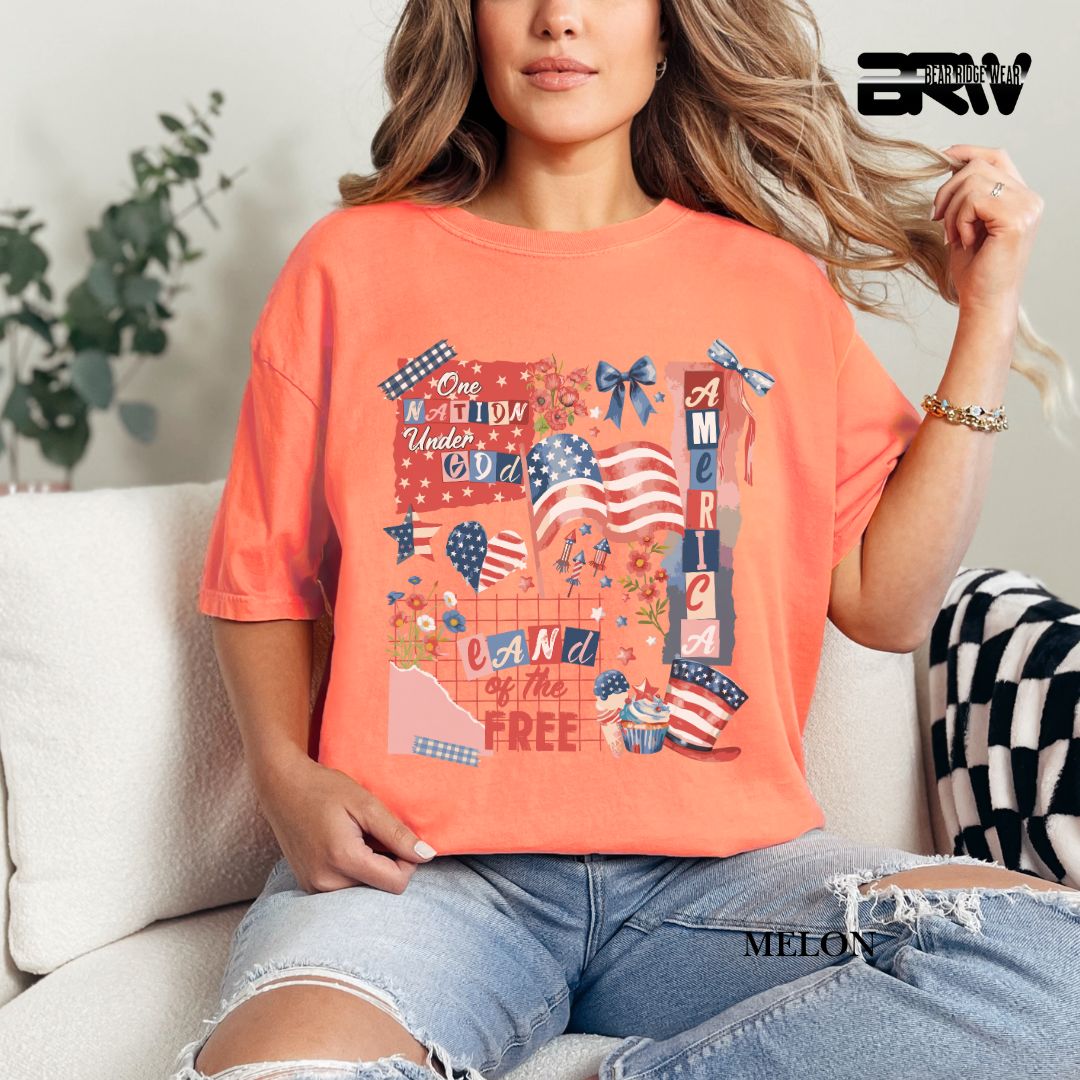 America One Nation- Patriotic Tee